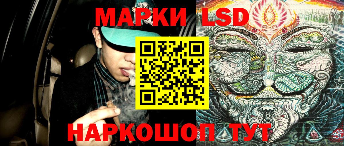 Артём  купить   Вход с VPN  Марки N-bome 1,8мг 