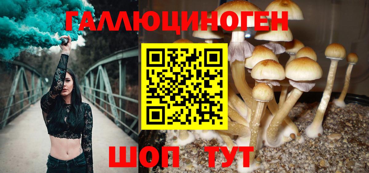 Артём  Галлюциногенные грибы мухоморы  Вход с VPN 
